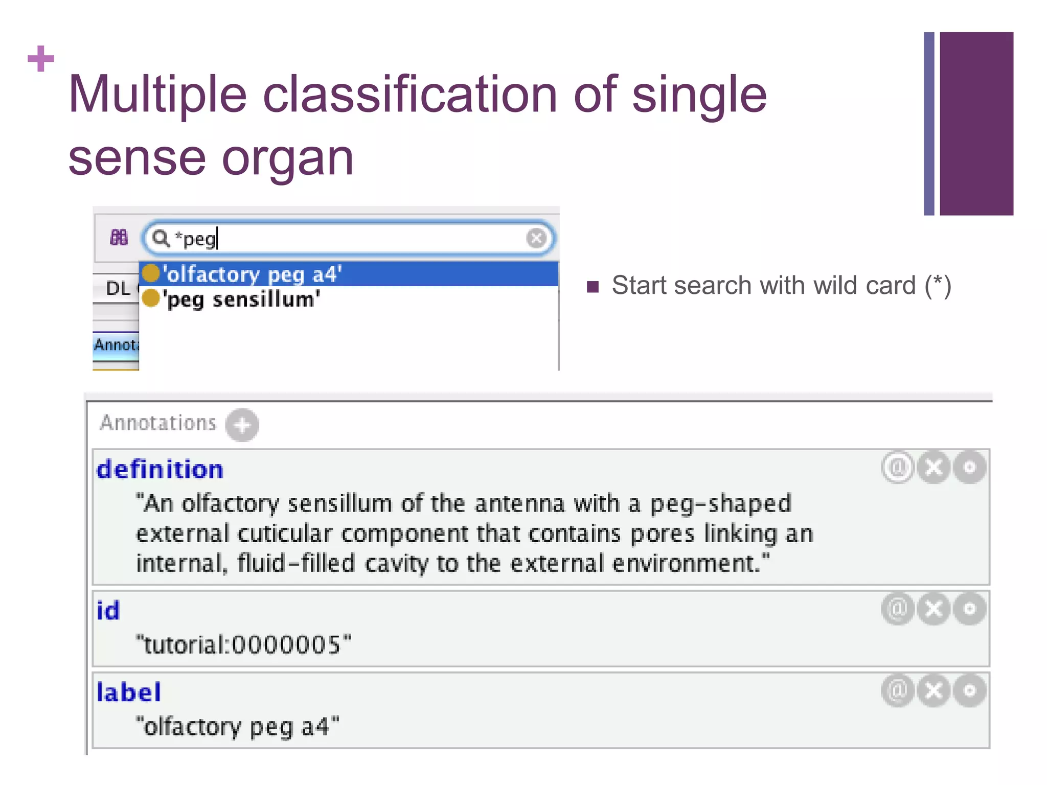 +
    Multiple classification of single
    sense organ

                               Start search with wild card (*)
 