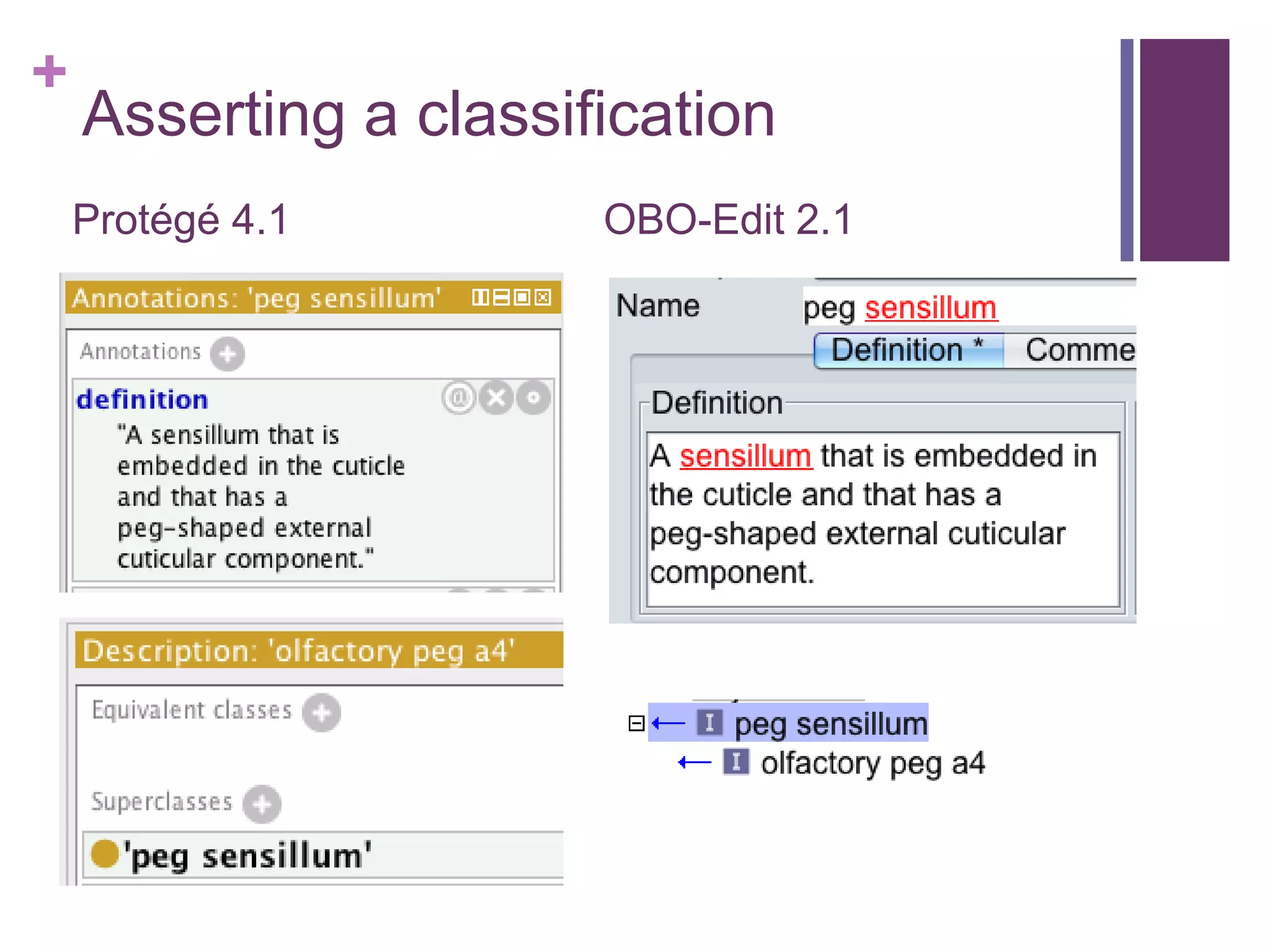 +
    Asserting a classification
    Protégé 4.1        OBO-Edit 2.1
 