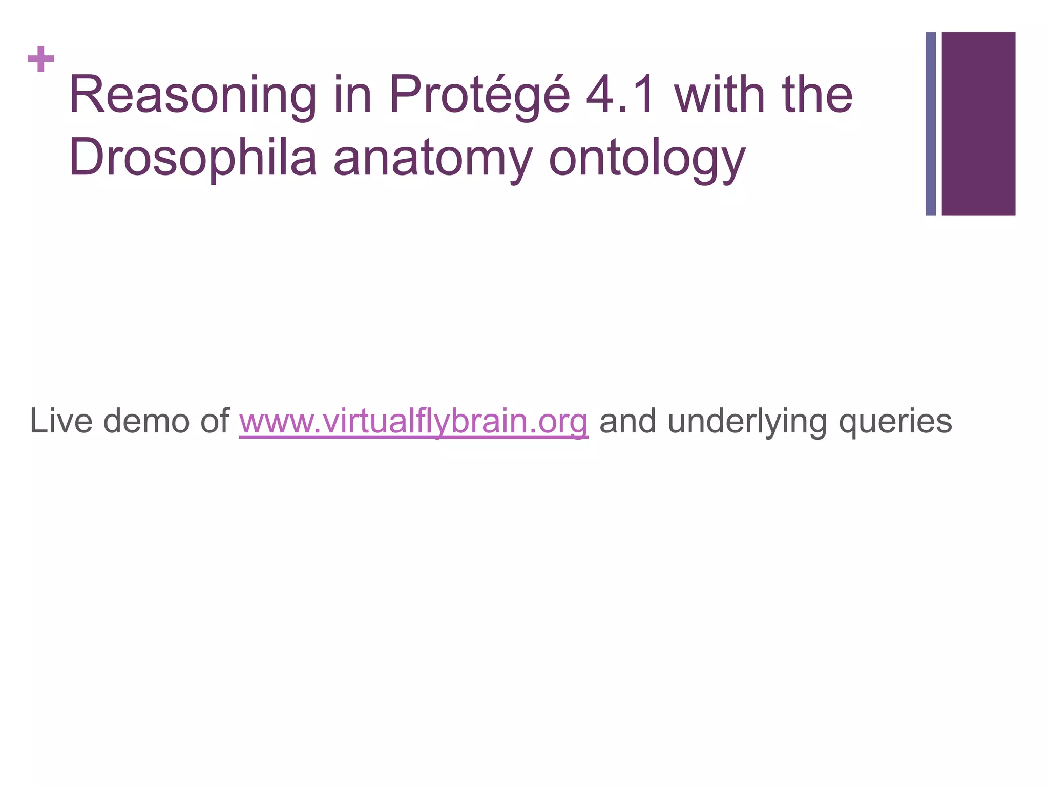 +
    Reasoning in Protégé 4.1 with the
    Drosophila anatomy ontology



Live demo of www.virtualflybrain.org and underlying queries
 