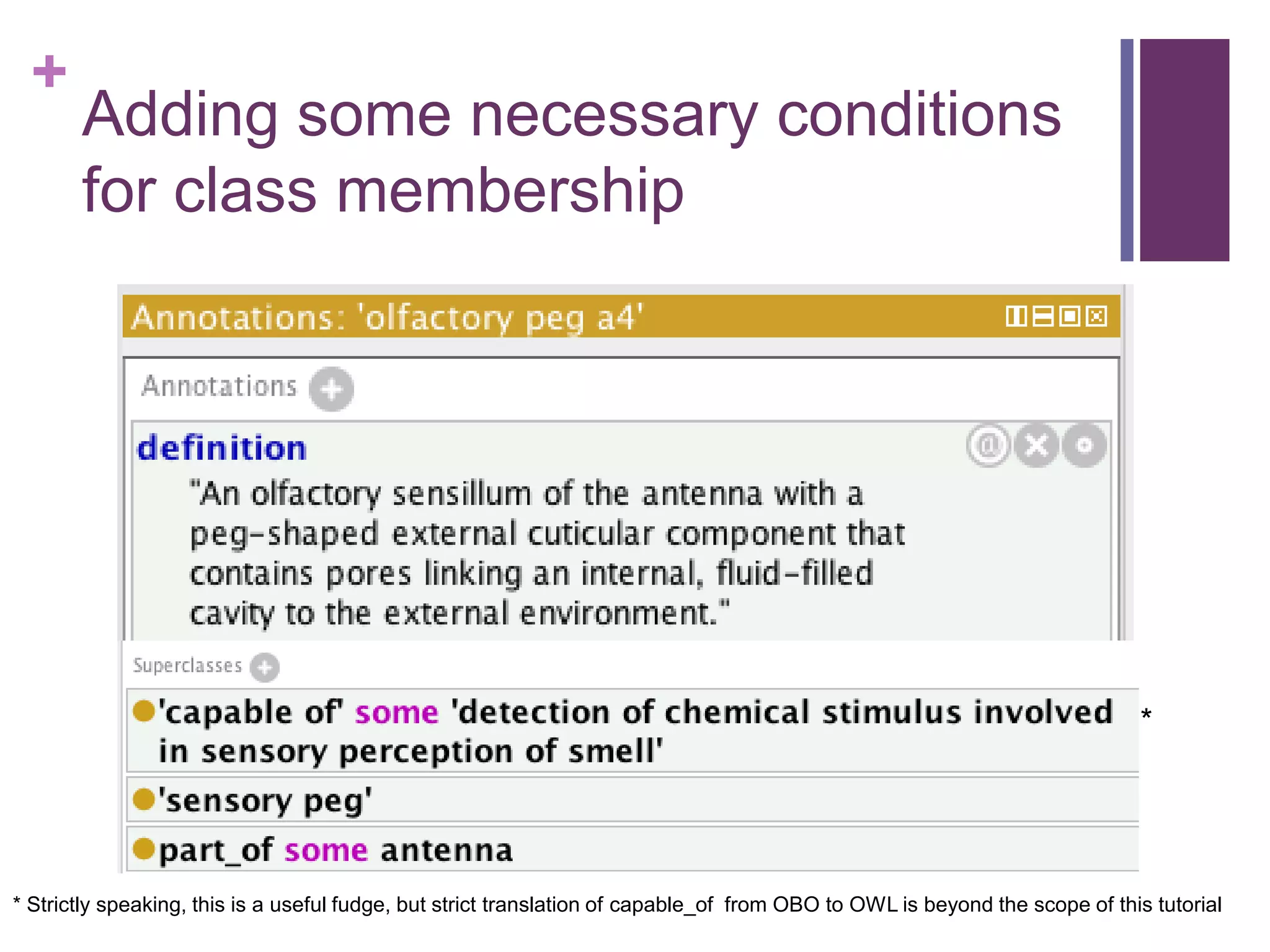 +
       Adding some necessary conditions
       for class membership




                                                                                                                            *




* Strictly speaking, this is a useful fudge, but strict translation of capable_of from OBO to OWL is beyond the scope of this tutorial
 