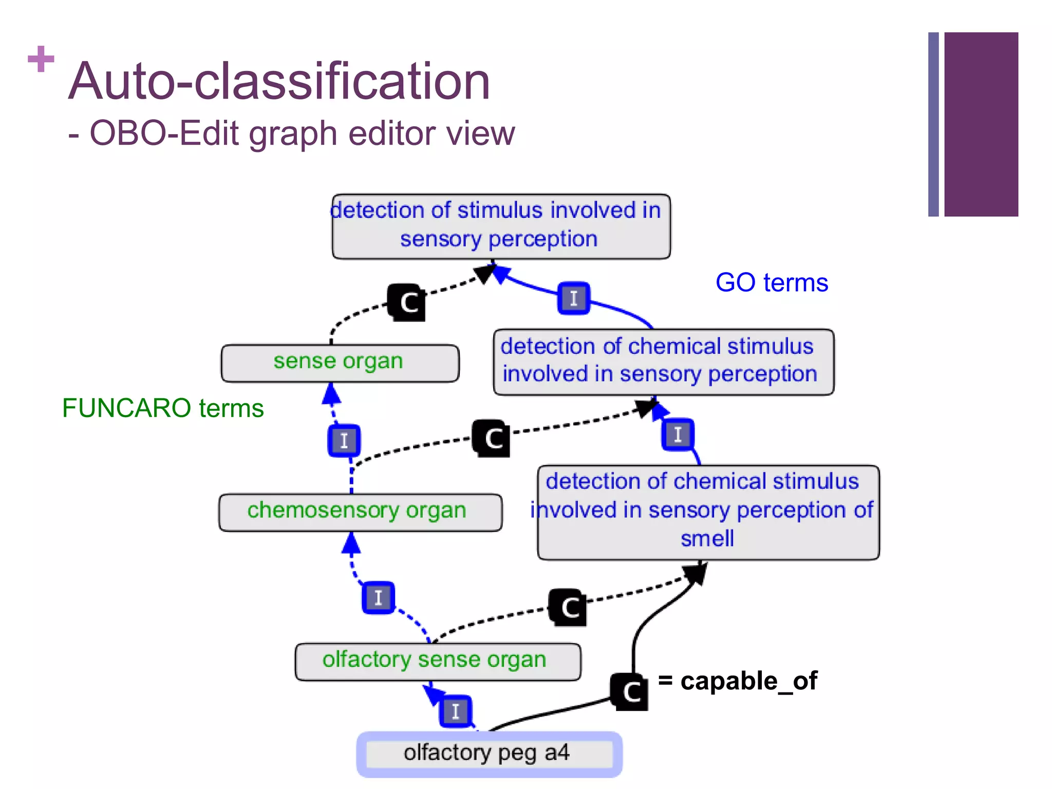 + Auto-classification
 - OBO-Edit graph editor view



                                    GO terms



 FUNCARO terms




                                = capable_of
 