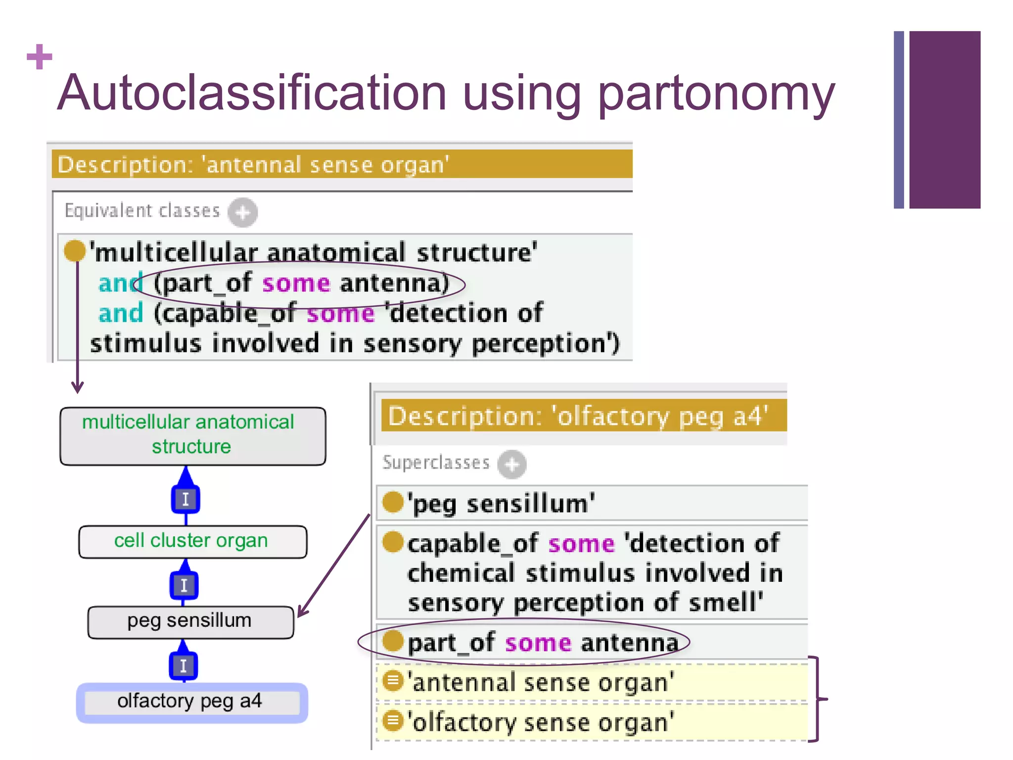 +
    Autoclassification using partonomy
 