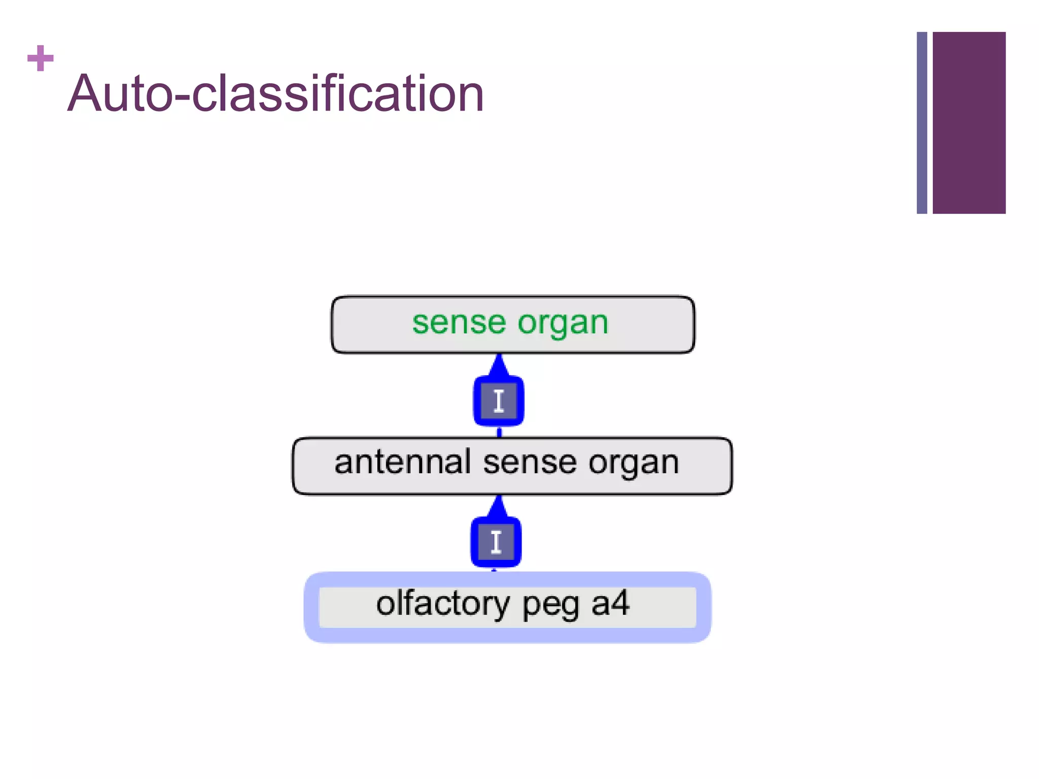 +
    Auto-classification
 