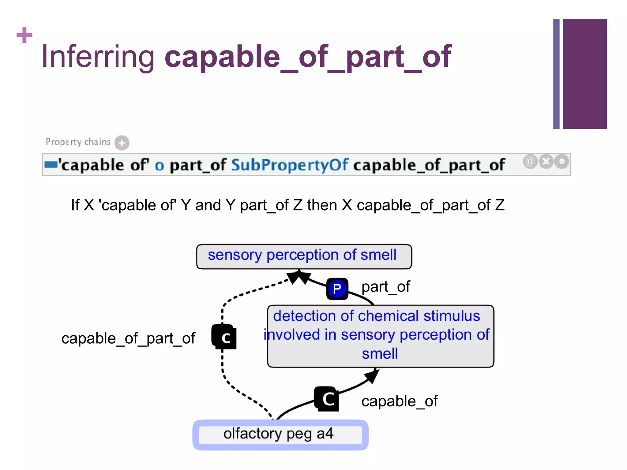+
    Inferring capable_of_part_of



      If X 'capable of' Y and Y part_of Z then X capable_of_part_of Z




                                                part_of


     capable_of_part_of



                                                capable_of
 