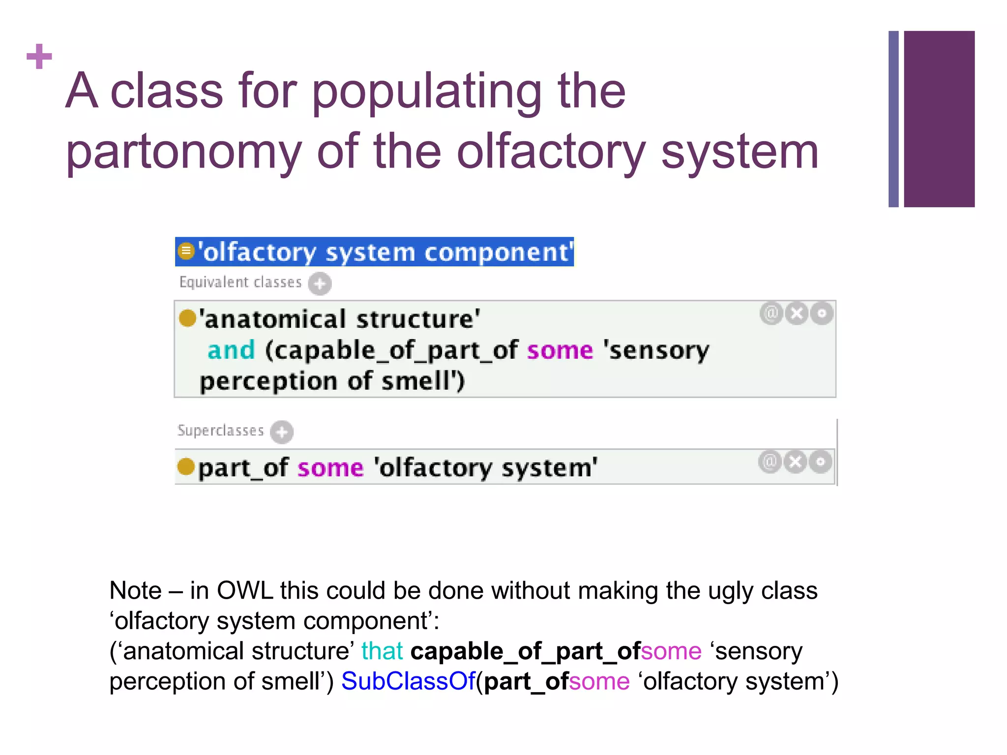 +
    A class for populating the
    partonomy of the olfactory system




     Note – in OWL this could be done without making the ugly class
     „olfactory system component‟:
     („anatomical structure‟ that capable_of_part_ofsome „sensory
     perception of smell‟) SubClassOf(part_ofsome „olfactory system‟)
 