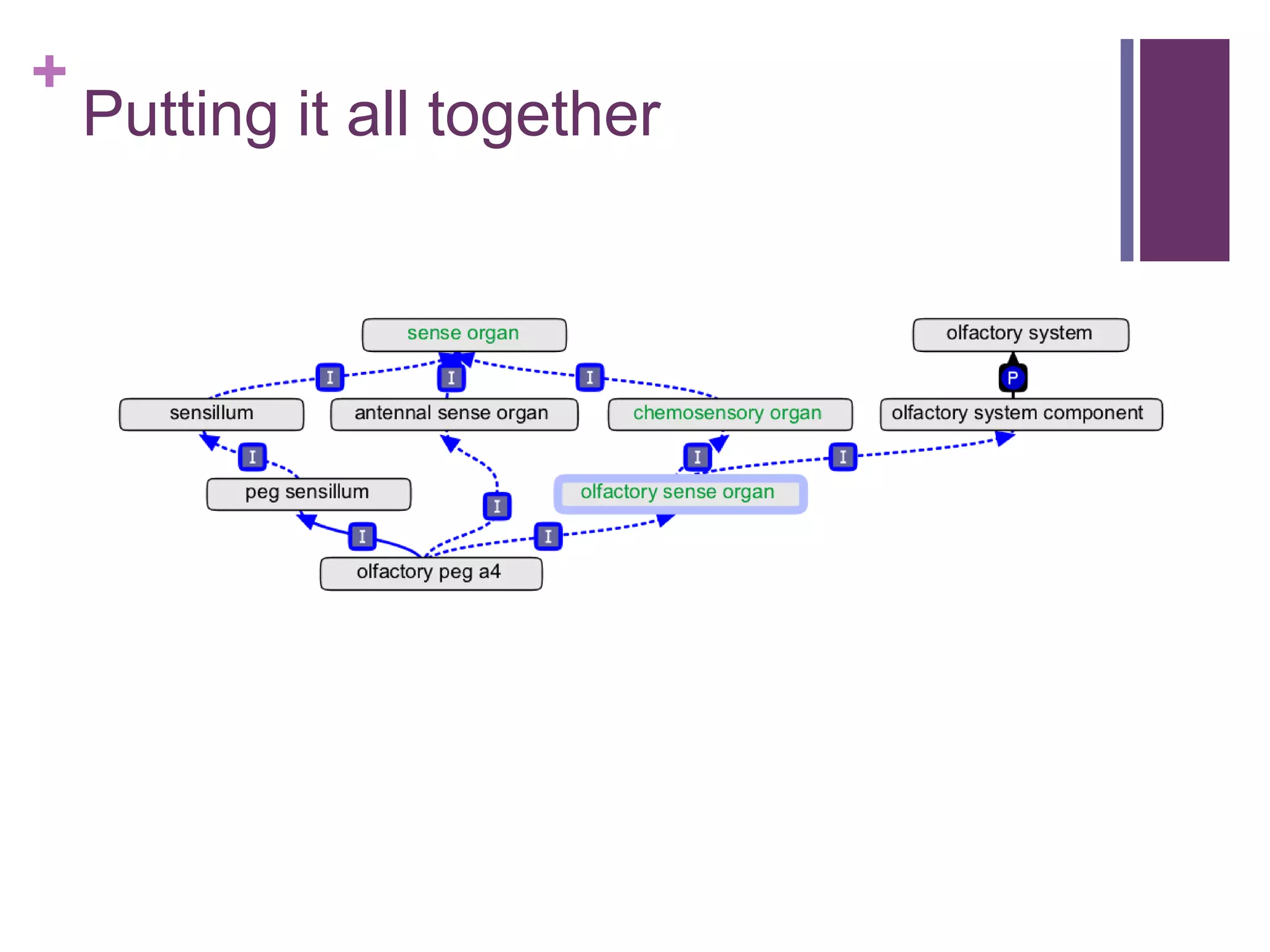 +
    Putting it all together
 