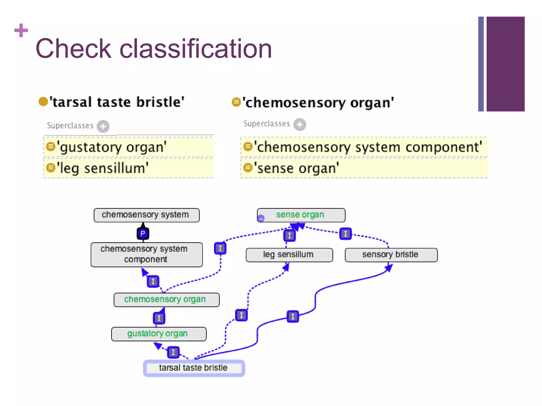 +
    Check classification
 