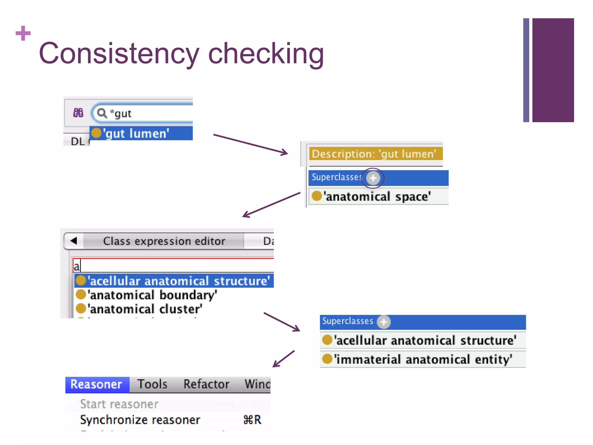 +
    Consistency checking
 