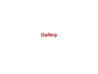 Gallery

 