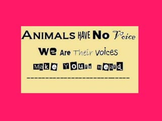 Tutorial su Stormboard