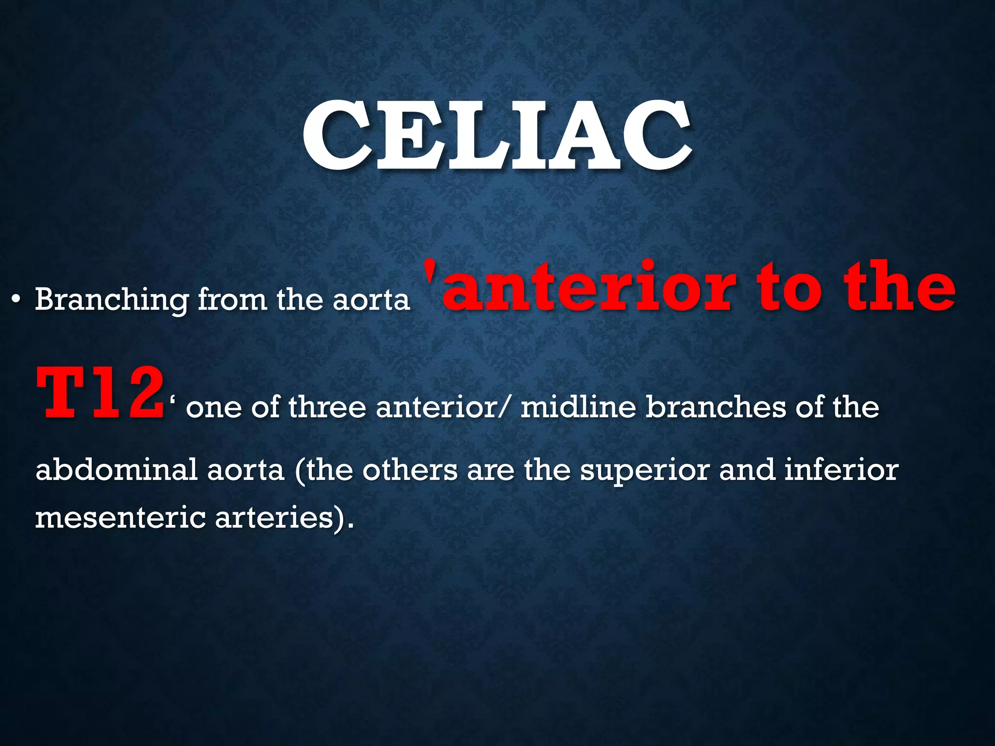 CELIAC
• Branching from the aorta 'anterior to the
T12‘ one of three anterior/ midline branches of the
abdominal aorta (the others are the superior and inferior
mesenteric arteries).
 