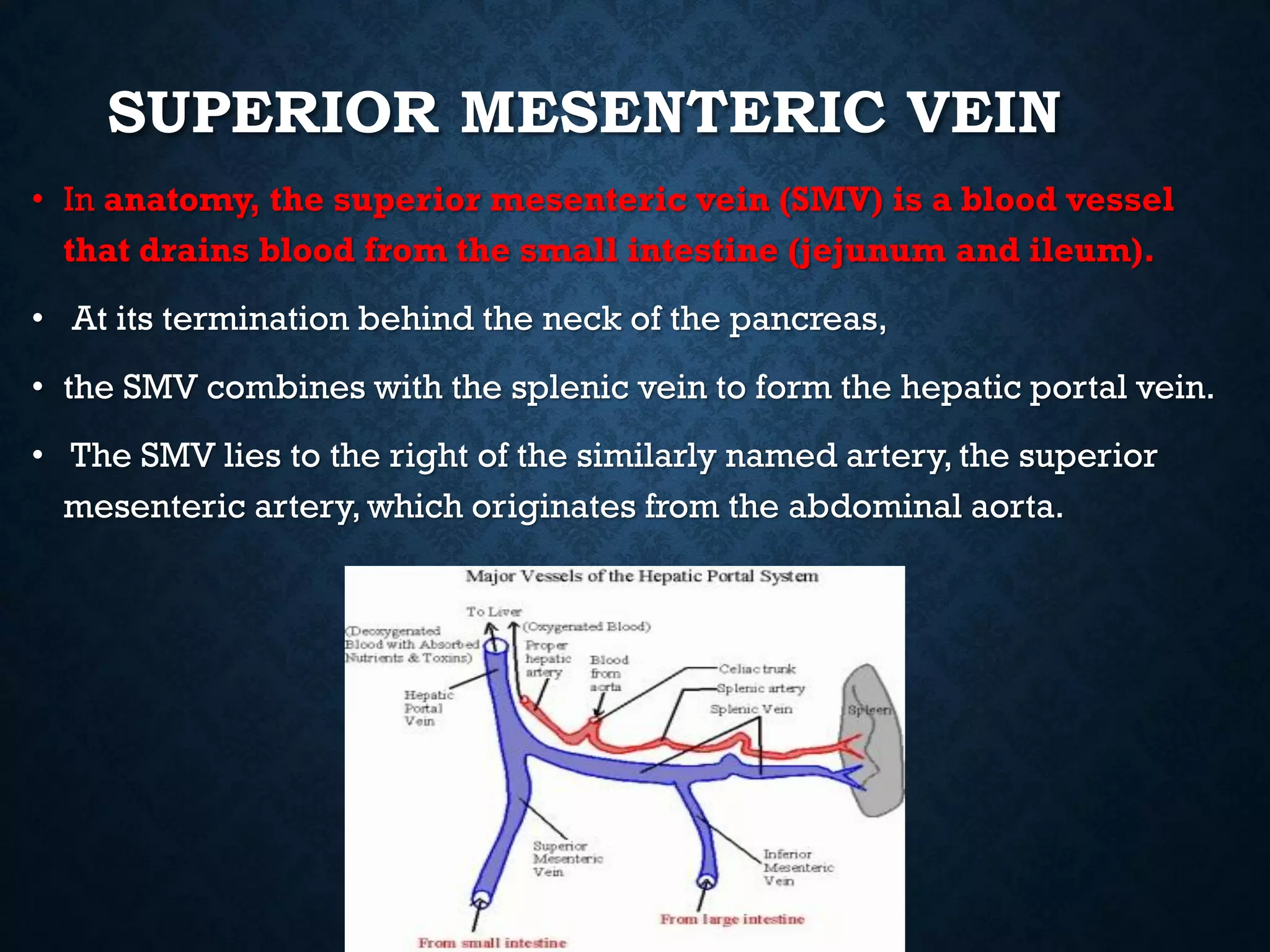 SUPERIOR MESENTERIC VEIN
• In anatomy, the superior mesenteric vein (SMV) is a blood vessel
that drains blood from the small intestine (jejunum and ileum).
• At its termination behind the neck of the pancreas,
• the SMV combines with the splenic vein to form the hepatic portal vein.
• The SMV lies to the right of the similarly named artery, the superior
mesenteric artery, which originates from the abdominal aorta.
 