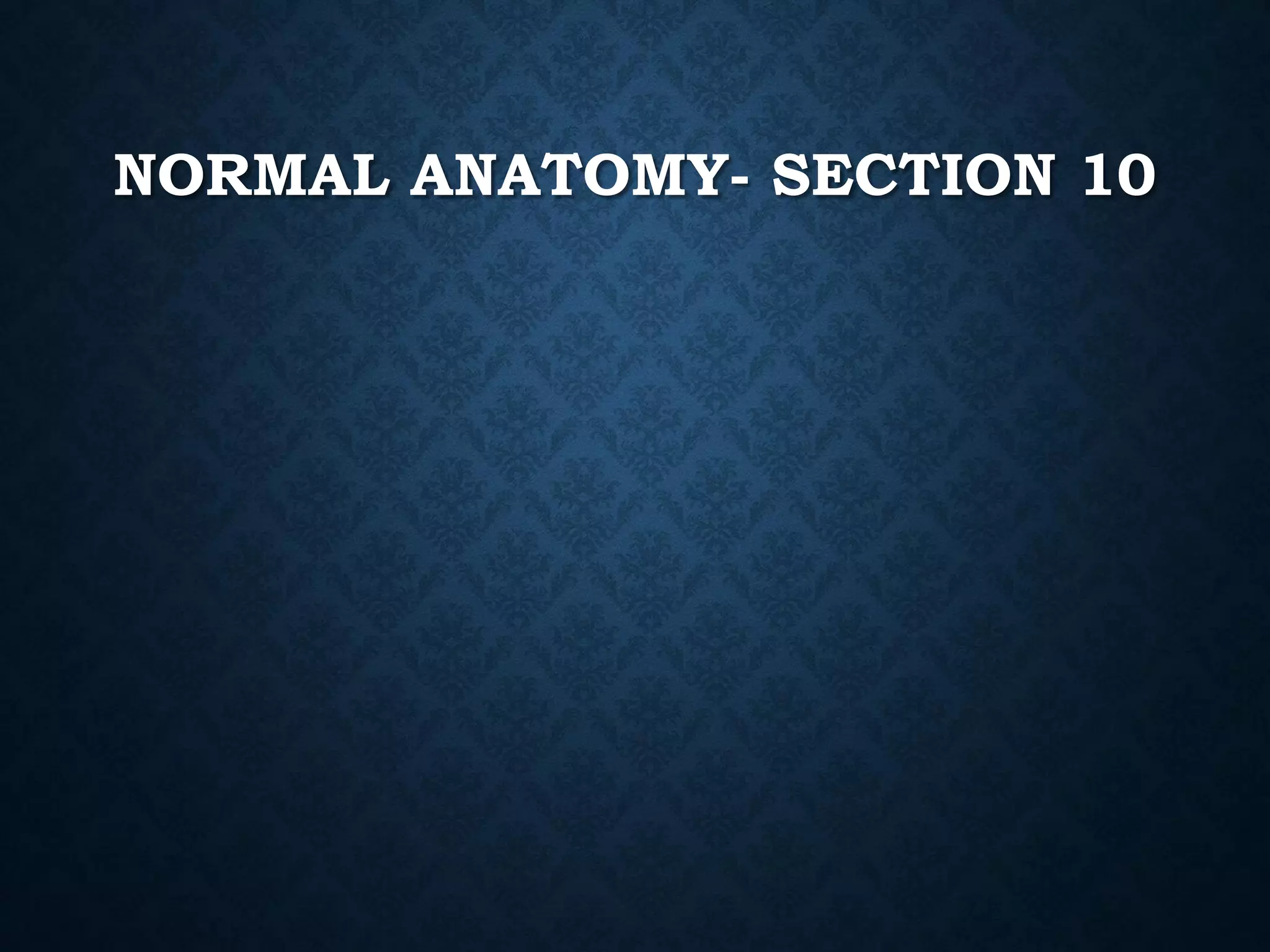 NORMAL ANATOMY- SECTION 10
 