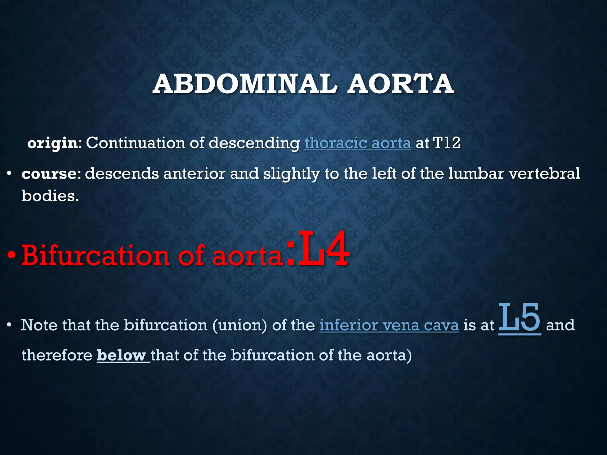 ABDOMINAL AORTA
origin: Continuation of descending thoracic aorta at T12
• course: descends anterior and slightly to the left of the lumbar vertebral
bodies.
•Bifurcation of aorta:L4
• Note that the bifurcation (union) of the inferior vena cava is at L5and
therefore below that of the bifurcation of the aorta)
 