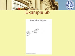 Example 6b


   ݺߣ 2
 