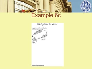 Example 6c


   ݺߣ 3
 