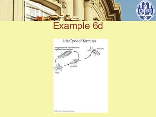 Example 6d


   ݺߣ 4
 