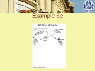 Example 6e


   ݺߣ 5
 