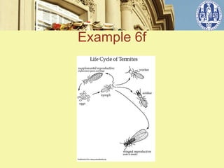 Example 6f


   ݺߣ 6
 