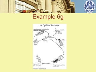 Example 6g


   ݺߣ 7
 