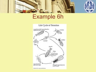 Example 6h


   ݺߣ 8
 