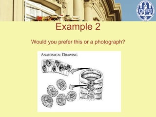Example 2
Would you prefer this or a photograph?
 