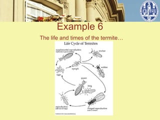 Example 6
The life and times of the termite…
 