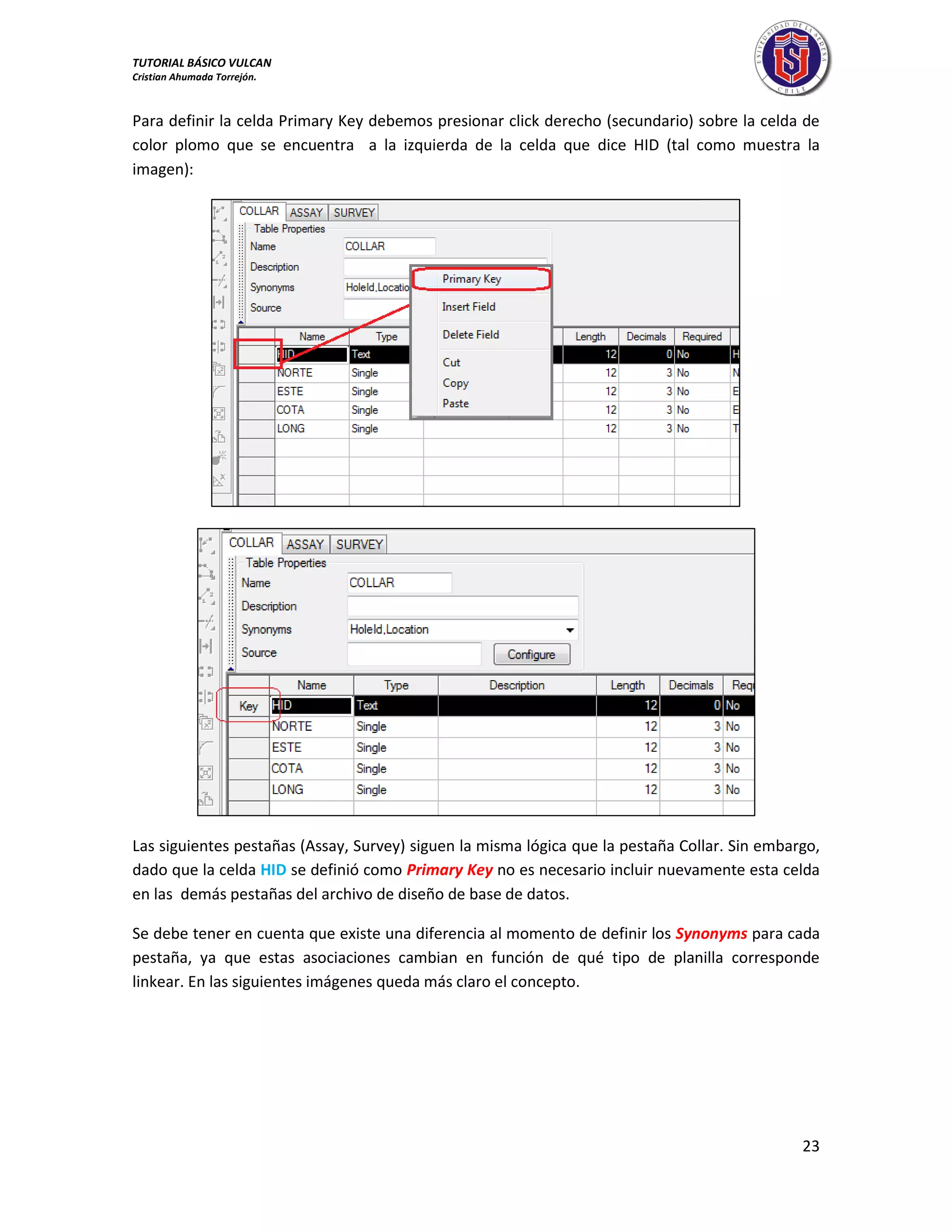 TUTORIAL BÁSICO VULCAN 
Cristian Ahumada Torrejón. 
23 
Para definir la celda Primary Key debemos presionar click derecho (secundario) sobre la celda de 
color plomo que se encuentra a la izquierda de la celda que dice HID (tal como muestra la 
imagen): 
Las siguientes pestañas (Assay, Survey) siguen la misma lógica que la pestaña Collar. Sin embargo, 
dado que la celda HID se definió como Primary Key no es necesario incluir nuevamente esta celda 
en las demás pestañas del archivo de diseño de base de datos. 
Se debe tener en cuenta que existe una diferencia al momento de definir los Synonyms para cada 
pestaña, ya que estas asociaciones cambian en función de qué tipo de planilla corresponde 
linkear. En las siguientes imágenes queda más claro el concepto. 
 