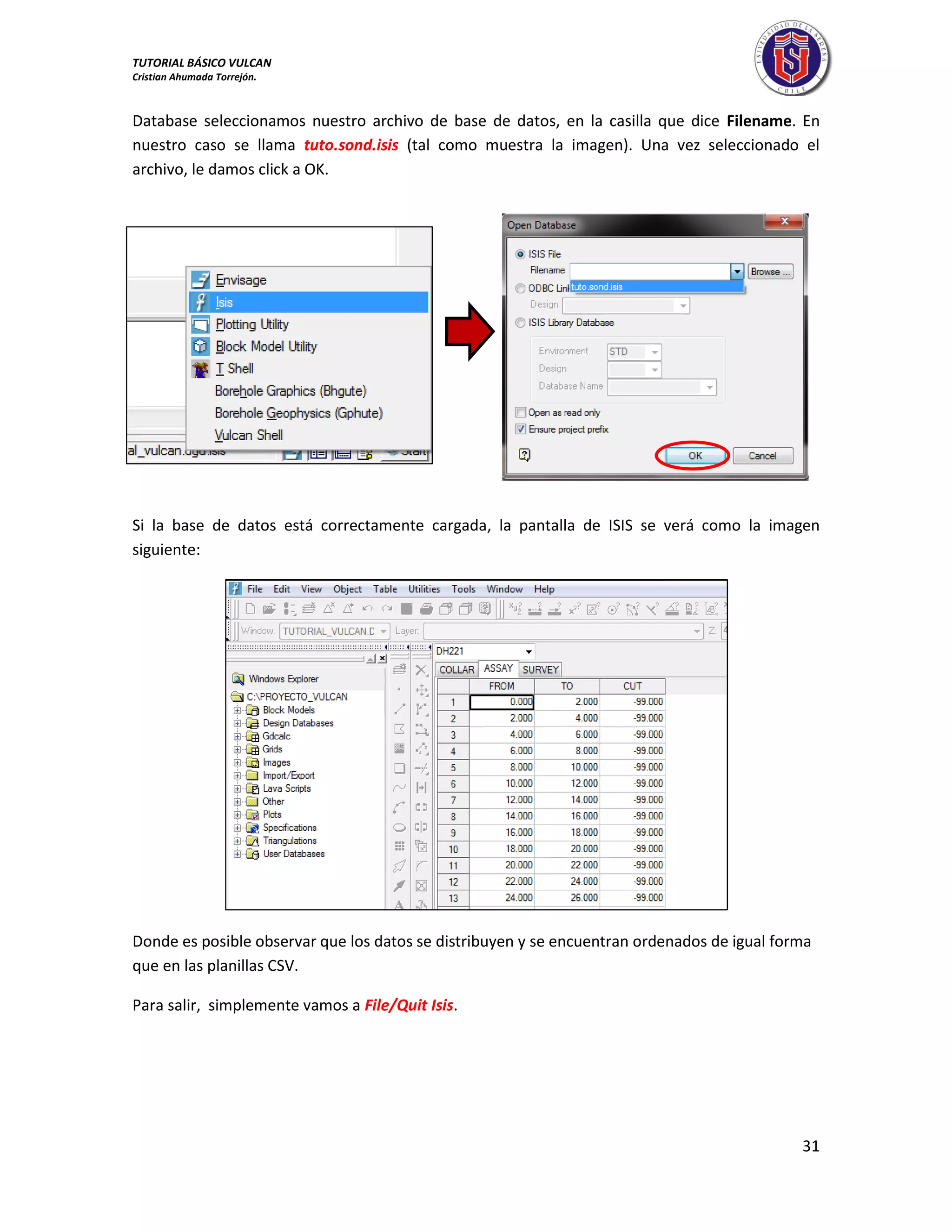 TUTORIAL BÁSICO VULCAN 
Cristian Ahumada Torrejón. 
31 
Database seleccionamos nuestro archivo de base de datos, en la casilla que dice Filename. En 
nuestro caso se llama tuto.sond.isis (tal como muestra la imagen). Una vez seleccionado el 
archivo, le damos click a OK. 
Si la base de datos está correctamente cargada, la pantalla de ISIS se verá como la imagen 
siguiente: 
Donde es posible observar que los datos se distribuyen y se encuentran ordenados de igual forma 
que en las planillas CSV. 
Para salir, simplemente vamos a File/Quit Isis. 
 