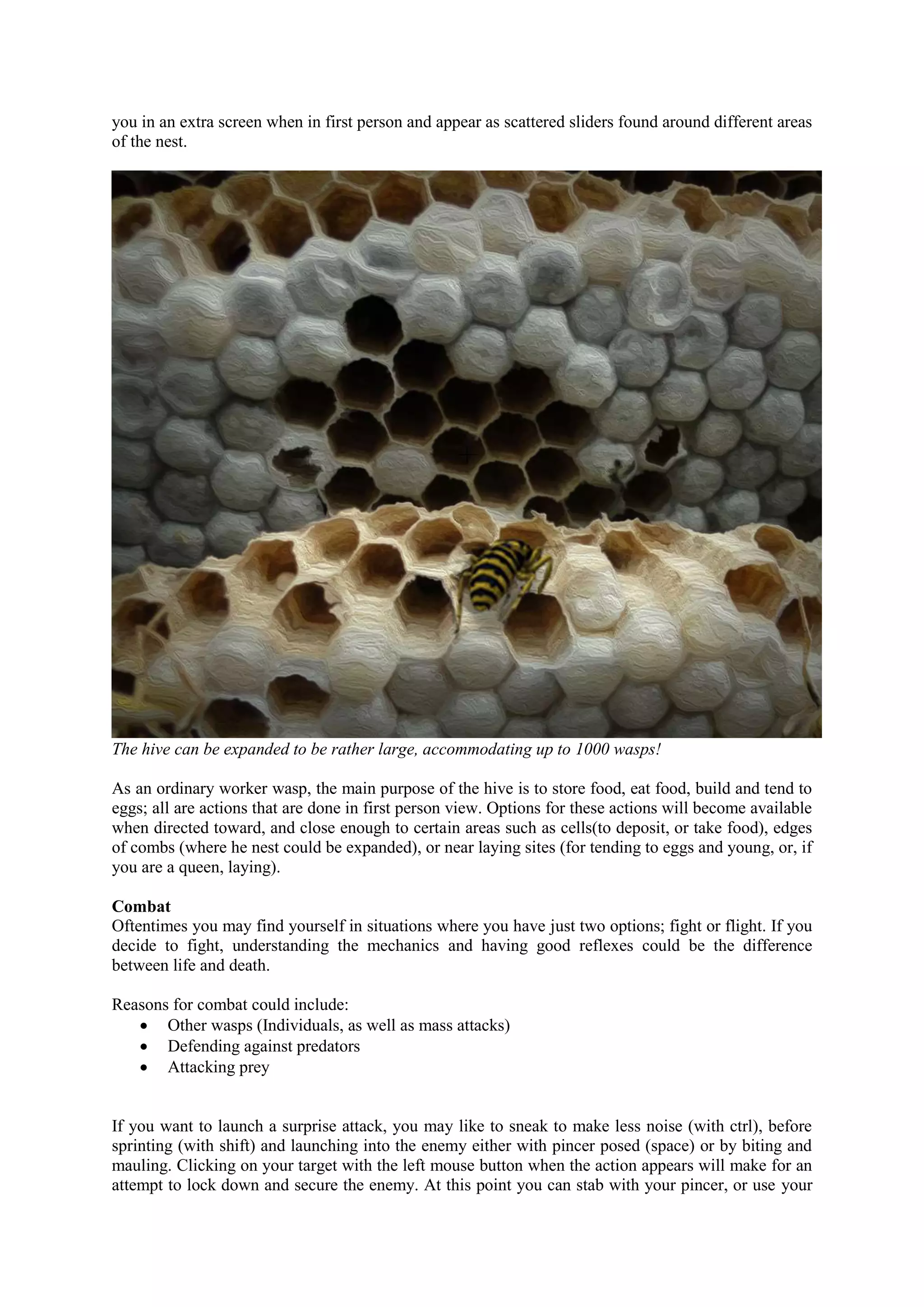 you in an extra screen when in first person and appear as scattered sliders found around different areas
of the nest.
The hive can be expanded to be rather large, accommodating up to 1000 wasps!
As an ordinary worker wasp, the main purpose of the hive is to store food, eat food, build and tend to
eggs; all are actions that are done in first person view. Options for these actions will become available
when directed toward, and close enough to certain areas such as cells(to deposit, or take food), edges
of combs (where he nest could be expanded), or near laying sites (for tending to eggs and young, or, if
you are a queen, laying).
Combat
Oftentimes you may find yourself in situations where you have just two options; fight or flight. If you
decide to fight, understanding the mechanics and having good reflexes could be the difference
between life and death.
Reasons for combat could include:
 Other wasps (Individuals, as well as mass attacks)
 Defending against predators
 Attacking prey
If you want to launch a surprise attack, you may like to sneak to make less noise (with ctrl), before
sprinting (with shift) and launching into the enemy either with pincer posed (space) or by biting and
mauling. Clicking on your target with the left mouse button when the action appears will make for an
attempt to lock down and secure the enemy. At this point you can stab with your pincer, or use your
 