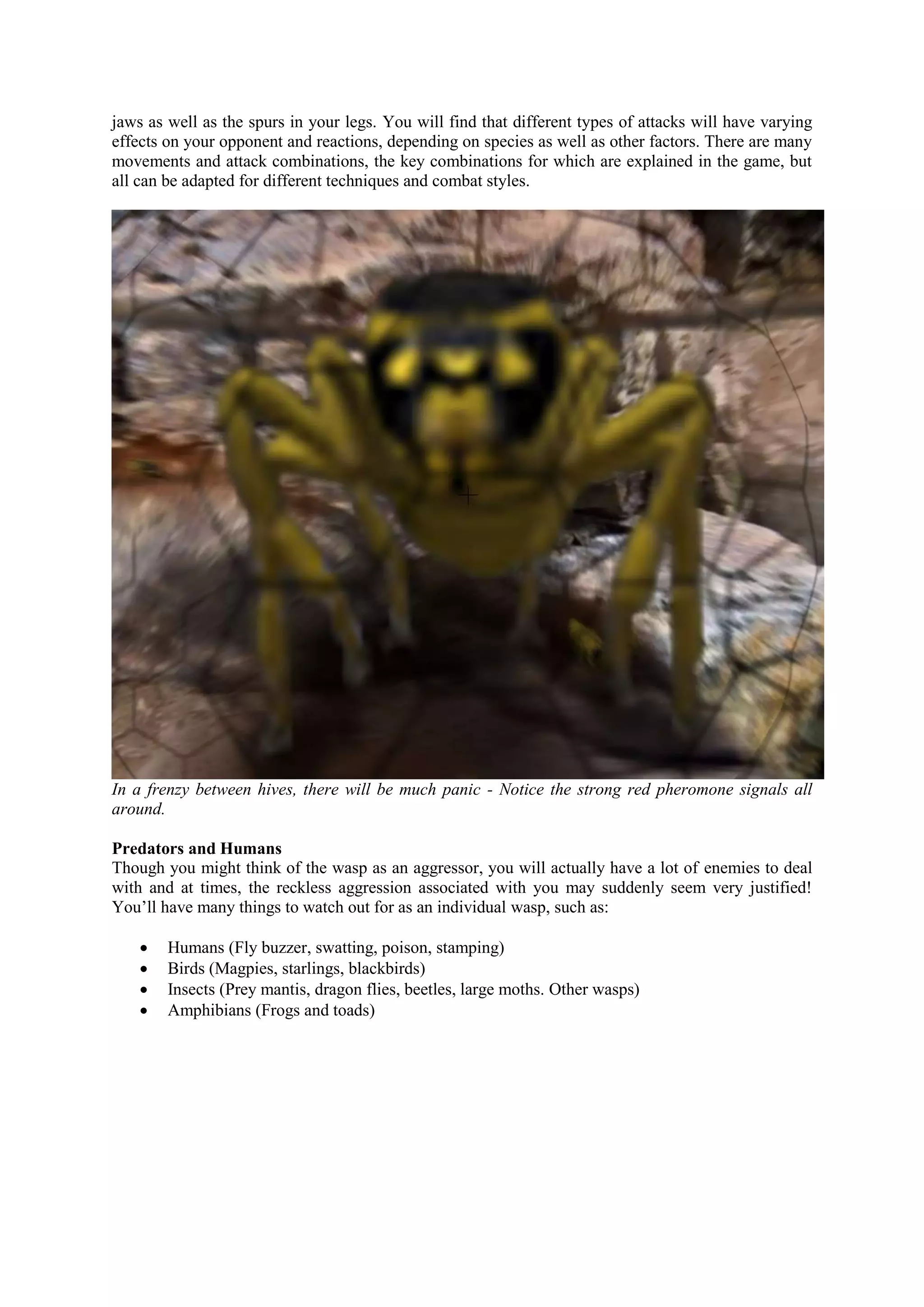 jaws as well as the spurs in your legs. You will find that different types of attacks will have varying
effects on your opponent and reactions, depending on species as well as other factors. There are many
movements and attack combinations, the key combinations for which are explained in the game, but
all can be adapted for different techniques and combat styles.
In a frenzy between hives, there will be much panic - Notice the strong red pheromone signals all
around.
Predators and Humans
Though you might think of the wasp as an aggressor, you will actually have a lot of enemies to deal
with and at times, the reckless aggression associated with you may suddenly seem very justified!
You’ll have many things to watch out for as an individual wasp, such as:
 Humans (Fly buzzer, swatting, poison, stamping)
 Birds (Magpies, starlings, blackbirds)
 Insects (Prey mantis, dragon flies, beetles, large moths. Other wasps)
 Amphibians (Frogs and toads)
 