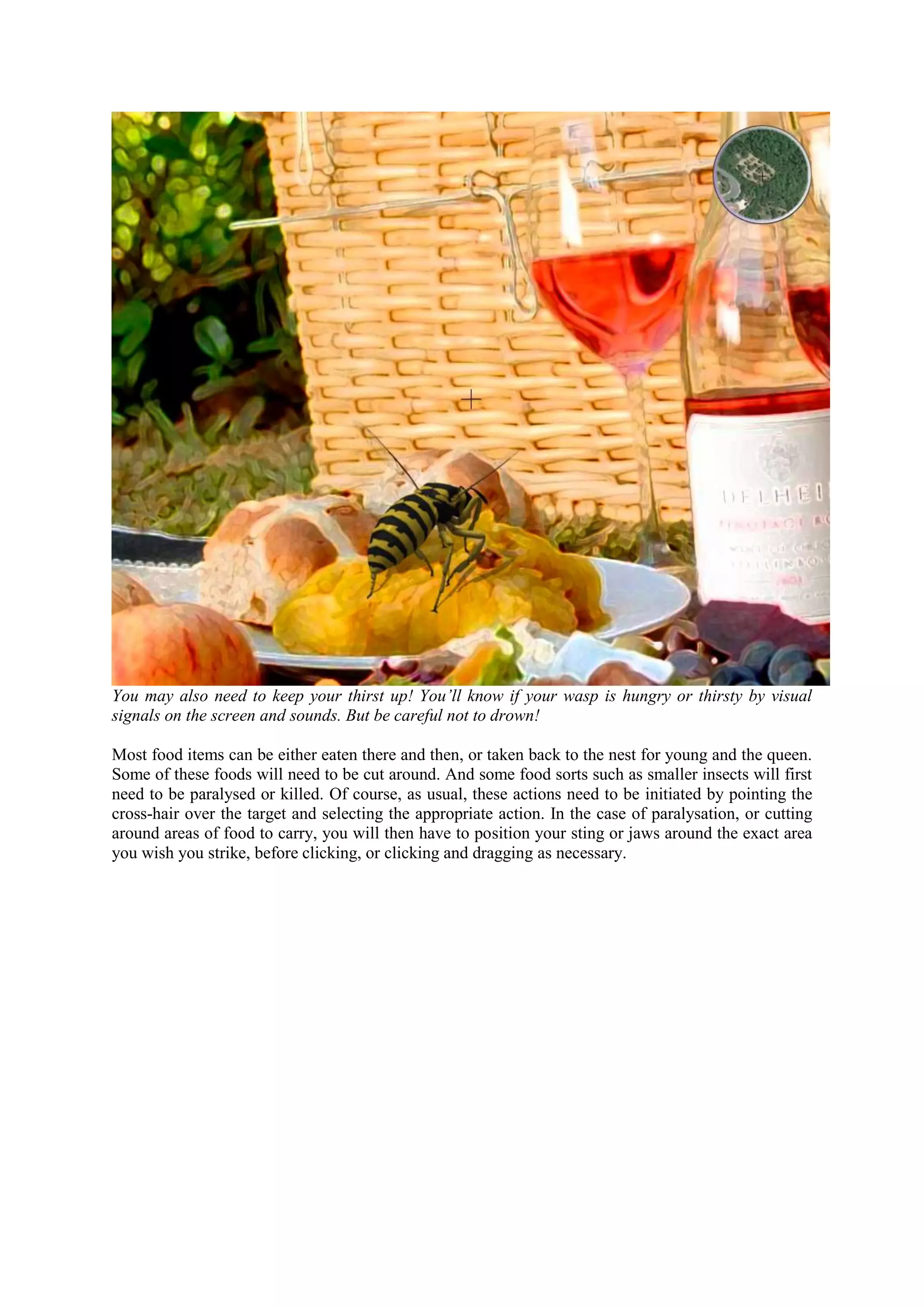 You may also need to keep your thirst up! You’ll know if your wasp is hungry or thirsty by visual
signals on the screen and sounds. But be careful not to drown!
Most food items can be either eaten there and then, or taken back to the nest for young and the queen.
Some of these foods will need to be cut around. And some food sorts such as smaller insects will first
need to be paralysed or killed. Of course, as usual, these actions need to be initiated by pointing the
cross-hair over the target and selecting the appropriate action. In the case of paralysation, or cutting
around areas of food to carry, you will then have to position your sting or jaws around the exact area
you wish you strike, before clicking, or clicking and dragging as necessary.
 