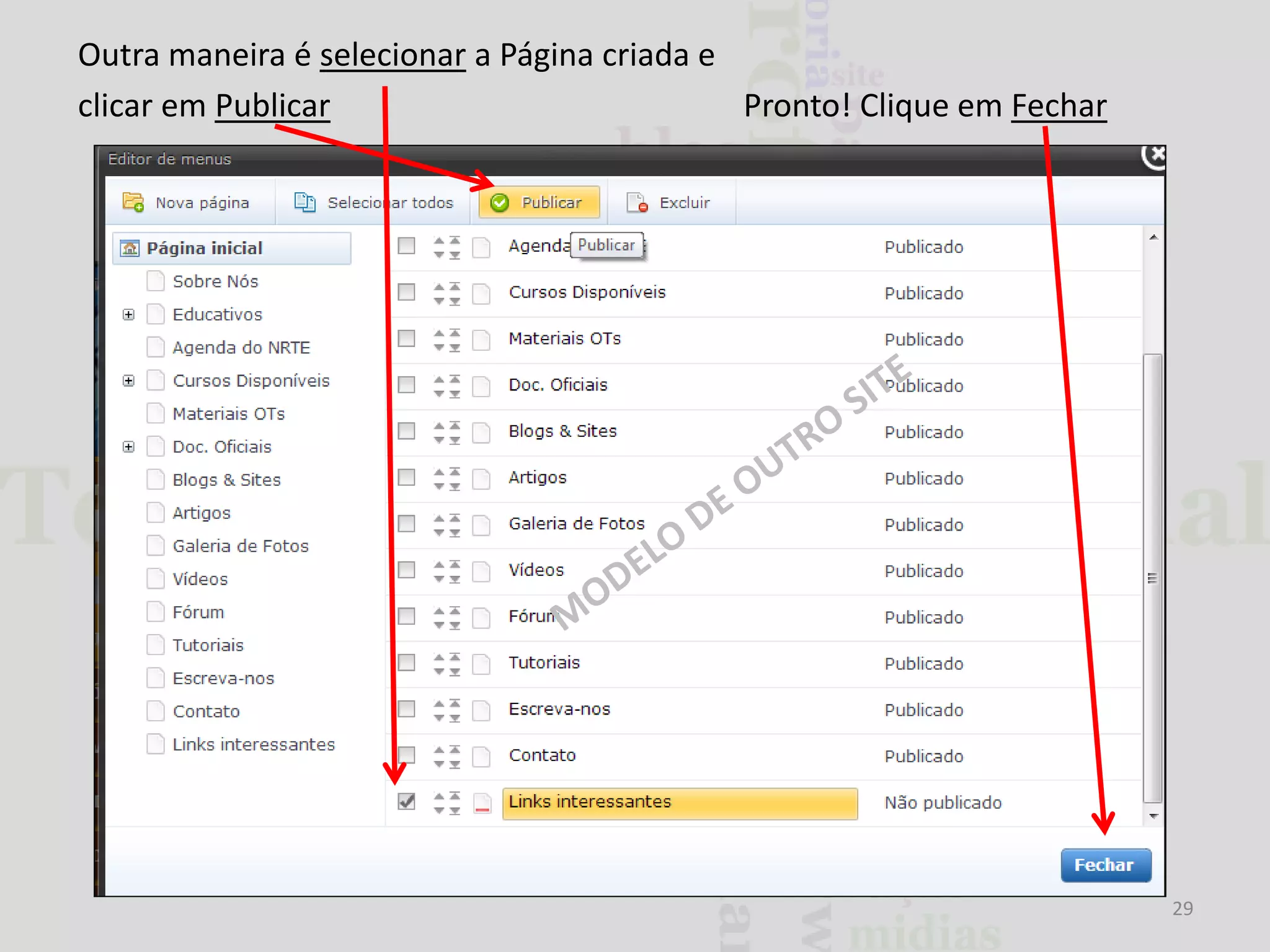 Outra maneira é selecionar a Página criada e
clicar em Publicar
Pronto! Clique em Fechar

29

 