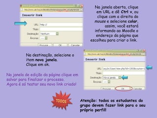 Na janela aberta, clique em URL e dê  Ctrl v , ou clique com a direita do  mouse  e selecione  colar , assim, você estará informando ao Moodle o endereço da página que escolheu para criar o link.  Na destinação, selecione o item  nova janela .  Clique em ok.  Na janela de edição da página clique em salvar para finalizar o processo. Agora é só testar seu novo link criado! Atenção: todos os estudantes do grupo devem fazer link para o seu próprio perfil! 