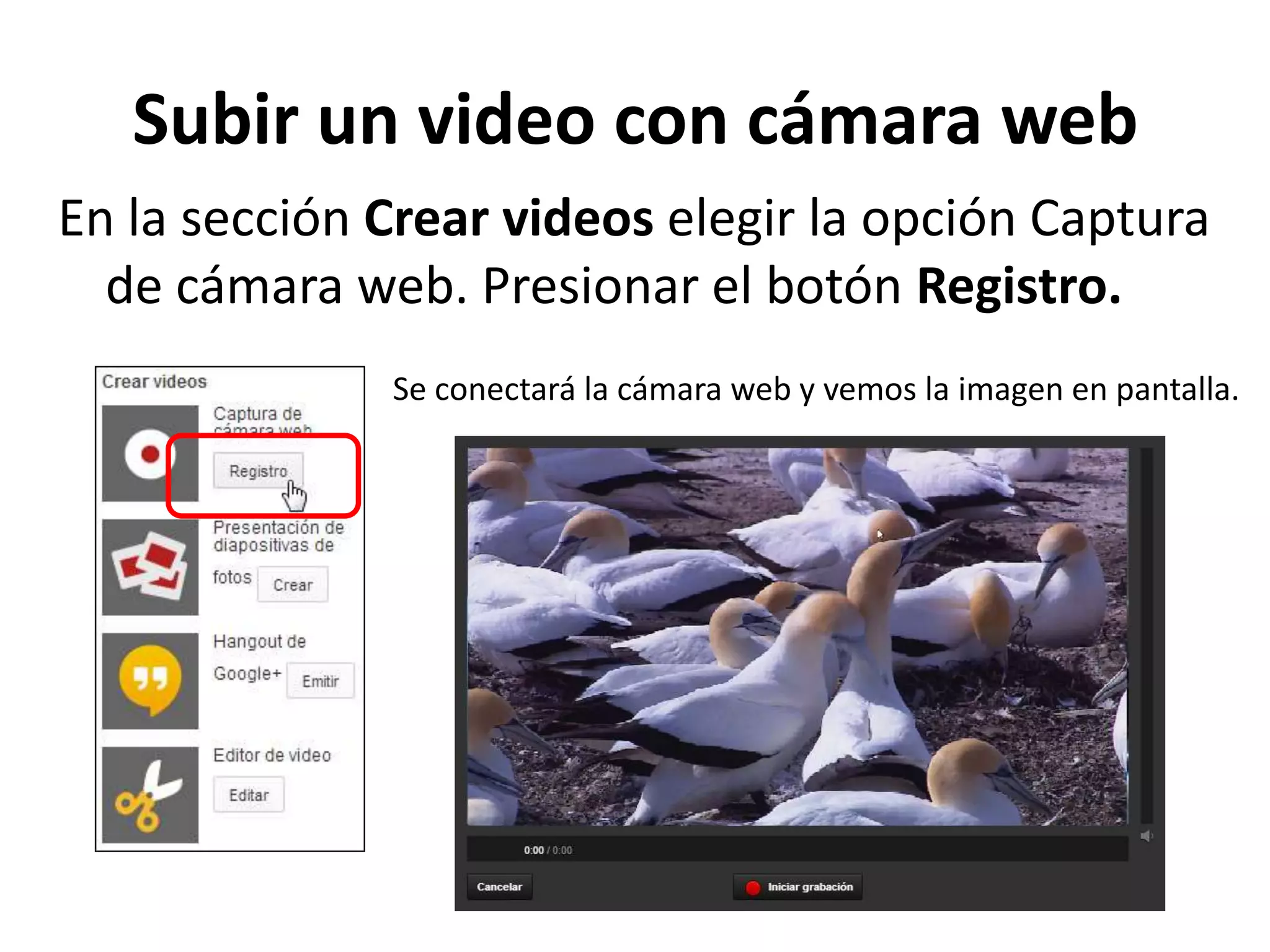 Subir un video con cámara web
En la sección Crear videos elegir la opción Captura
de cámara web. Presionar el botón Registro.
Se conectará la cámara web y vemos la imagen en pantalla.
 