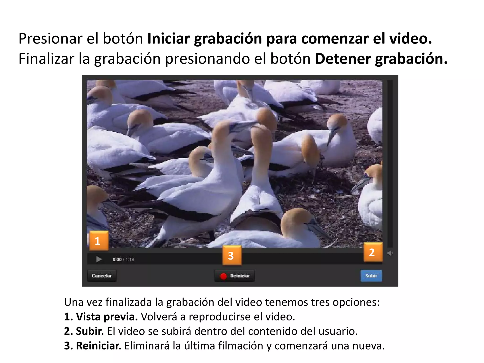 Presionar el botón Iniciar grabación para comenzar el video.
Finalizar la grabación presionando el botón Detener grabación.
Una vez finalizada la grabación del video tenemos tres opciones:
1. Vista previa. Volverá a reproducirse el video.
2. Subir. El video se subirá dentro del contenido del usuario.
3. Reiniciar. Eliminará la última filmación y comenzará una nueva.
1
23
 