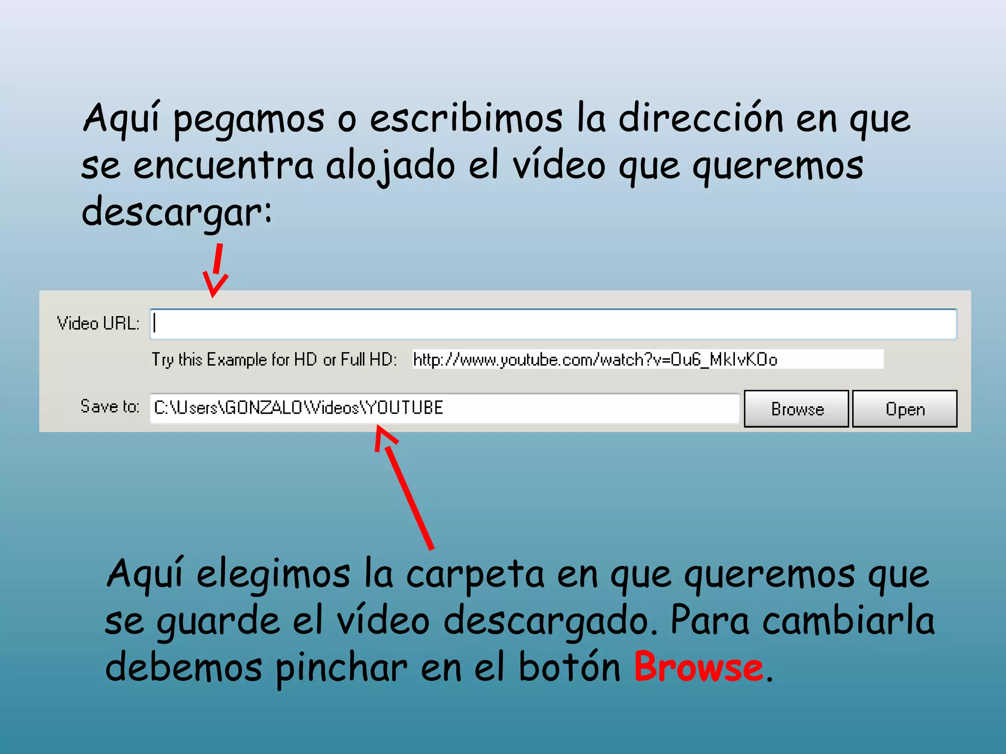 Aquí elegimos la carpeta en que queremos que
se guarde el vídeo descargado. Para cambiarla
debemos pinchar en el botón Browse.
Aquí pegamos o escribimos la dirección en que
se encuentra alojado el vídeo que queremos
descargar: