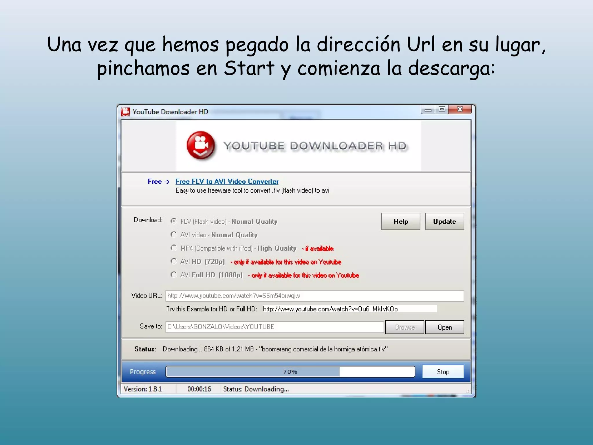 Una vez que hemos pegado la dirección Url en su lugar,
pinchamos en Start y comienza la descarga: