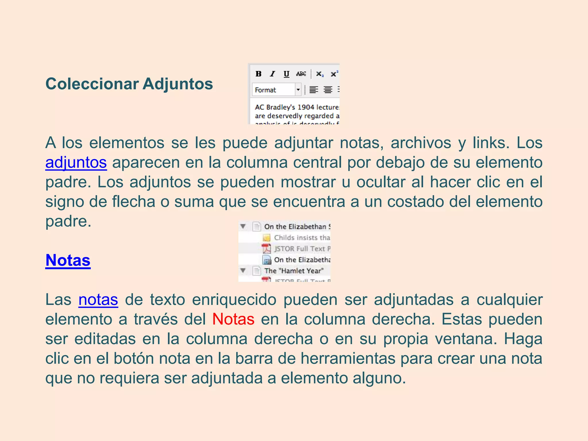 Coleccionar Adjuntos


A los elementos se les puede adjuntar notas, archivos y links. Los
adjuntos aparecen en la columna central por debajo de su elemento
padre. Los adjuntos se pueden mostrar u ocultar al hacer clic en el
signo de flecha o suma que se encuentra a un costado del elemento
padre.

Notas

Las notas de texto enriquecido pueden ser adjuntadas a cualquier
elemento a través del Notas en la columna derecha. Estas pueden
ser editadas en la columna derecha o en su propia ventana. Haga
clic en el botón nota en la barra de herramientas para crear una nota
que no requiera ser adjuntada a elemento alguno.
 