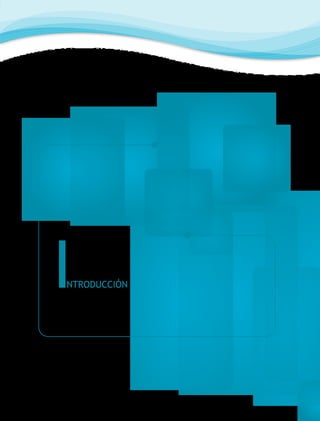 I

NTRODUCCIÓN

 