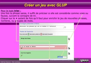 Créer un jeu avec GLUP
Pour le type trier :
Une fois la phrase saisie, il suffit de préciser si elle est considérée comme vraie ou
fausse, suivant la consigne de tri.
Cliquer sur le + autant de fois qu'il faut pour enrichir le jeu de nouvelles phrases,
nombres, ou groupes de mots.

CDDP de l’Essonne – Pôle numérique

 