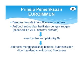 Prinsip Pemeriksaan                       11

            EUROIMMUN
 Dengan metode imunofluoresens indirek
 Antibodi antinuklear berikatan dengan antigen
  (pada sel HEp-20-10 dan hati primata)

          membentuk kompleks Ag-Ab

dideteksi menggunakan Ig berlabel fluoresens dan
     diperiksa dengan mikroskop fluoresens.
 