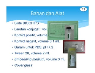 12
             Bahan dan Alat
• Slide BIOCHIPS
• Larutan konjugat , volume 1,5 ml.
• Kontrol positif, volume 0,25 ml.
• Kontrol negatif, volume 0,1 ml.
• Garam untuk PBS, pH 7,2
• Tween 20, volume 2 ml.
• Embedding medium, volume 3 ml.
• Cover glass
 
