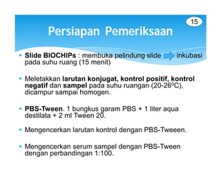 15
         Persiapan Pemeriksaan
 Slide BIOCHIPs : membuka pelindung slide       inkubasi
  pada suhu ruang (15 menit)

 Meletakkan larutan konjugat, kontrol positif, kontrol
  negatif dan sampel pada suhu ruangan (20-260C),
  dicampur sampai homogen.

 PBS-Tween. 1 bungkus garam PBS + 1 liter aqua
  destilata + 2 ml Tween 20.

 Mengencerkan larutan kontrol dengan PBS-Tweeen.

 Mengencerkan serum sampel dengan PBS-Tween
  dengan perbandingan 1:100.
 
