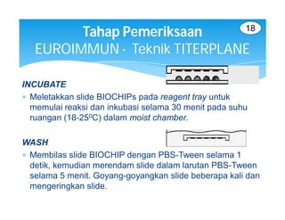 18
         Tahap Pemeriksaan
   EUROIMMUN - Teknik TITERPLANE

INCUBATE
 Meletakkan slide BIOCHIPs pada reagent tray untuk
  memulai reaksi dan inkubasi selama 30 menit pada suhu
  ruangan (18-250C) dalam moist chamber.

WASH
 Membilas slide BIOCHIP dengan PBS-Tween selama 1
  detik, kemudian merendam slide dalam larutan PBS-Tween
  selama 5 menit. Goyang-goyangkan slide beberapa kali dan
  mengeringkan slide.
 