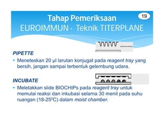 19
         Tahap Pemeriksaan
   EUROIMMUN - Teknik TITERPLANE

PIPETTE
 Meneteskan 20 µl larutan konjugat pada reagent tray yang
  bersih, jangan sampai terbentuk gelembung udara.

INCUBATE
 Meletakkan slide BIOCHIPs pada reagent tray untuk
  memulai reaksi dan inkubasi selama 30 menit pada suhu
  ruangan (18-250C) dalam moist chamber.
 