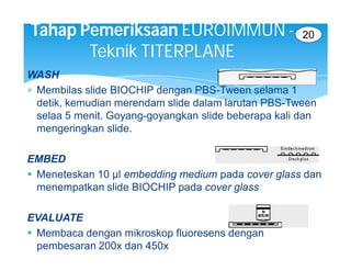 Tahap Pemeriksaan EUROIMMUN -                         20
       Teknik TITERPLANE
WASH
 Membilas slide BIOCHIP dengan PBS-Tween selama 1
  detik, kemudian merendam slide dalam larutan PBS-Tween
  selaa 5 menit. Goyang-goyangkan slide beberapa kali dan
  mengeringkan slide.

EMBED
 Meneteskan 10 µl embedding medium pada cover glass dan
  menempatkan slide BIOCHIP pada cover glass

EVALUATE
 Membaca dengan mikroskop fluoresens dengan
  pembesaran 200x dan 450x
 