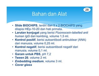28
              Bahan dan Alat
• Slide BIOCHIPS, terdiri dari 5 x 2 BIOCHIPS yang
  dilapisi HEp-10-20 dan hati primata.
• Larutan konjugat yang berisi Fluorescein-labelled anti
  human IgG dari kambing, volume 1,5 ml.
• Kontrol positif, berisi autoantibodi antinuklear (ANA)
  dari manusia, volume 0,25 ml.
• Kontrol negatif, berisi autoantibodi negatif dari
  manusia, volume 0,1 ml.
• Garam untuk PBS, pH 7,2
• Tween 20, volume 2 ml.
• Embedding medium, volume 3 ml.
• Cover glass
 