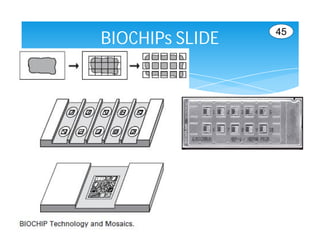 45
BIOCHIPs SLIDE
 