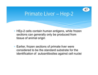 47
        Primate Liver – Hep-2


 HEp-2 cells contain human antigens, while frozen
  sections can generally only be produced from
  tissue of animal origin

 Earlier, frozen sections of primate liver were
  considered to be the standard substrate for the
  identification of autoantibodies against cell nuclei
 